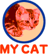 MY CAT