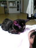 04_10_03_22_11.jpg