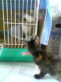 04_10_02_13_13.jpg