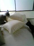 04_10_02_13_08.jpg