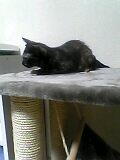 04_10_02_22_47.jpg