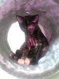 04_10_03_02_03.jpg